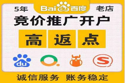 百度推广中SEO优化的成功案例分析